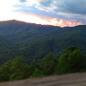 Meet your Posher, Will